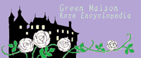 Green Maison : Rose Encyclopedia Top